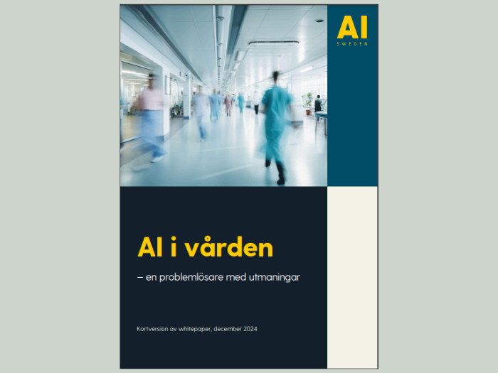 KI-Pilot reduziert Krankenhausstürze in der Region Västra Götaland, Schweden